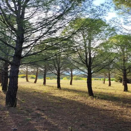 Tatil Evi With Pool & Views *